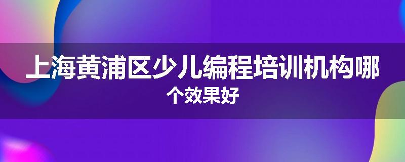 上海黄浦区少儿编程培训机构哪个效果好