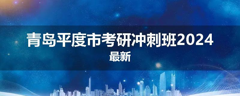 青岛平度市考研冲刺班2024最新