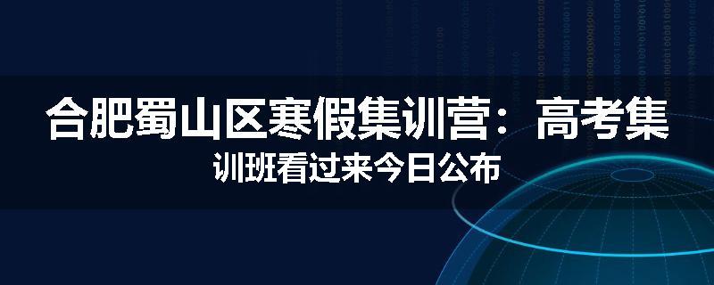 合肥蜀山区寒假集训营：高考集训班看过来今日公布