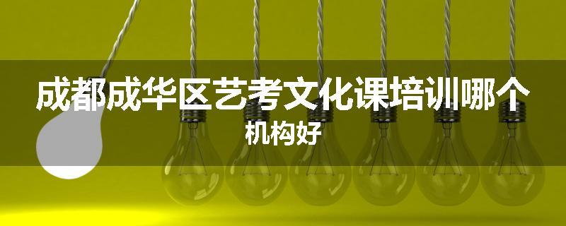 成都成华区艺考文化课培训哪个机构好