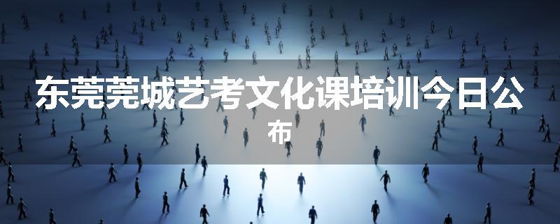 东莞莞城艺考文化课培训今日公布