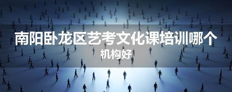 南阳卧龙区艺考文化课培训哪个机构好
