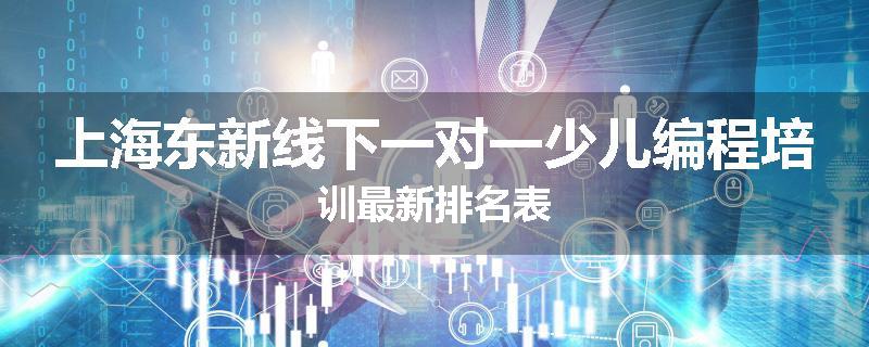 上海东新线下一对一少儿编程培训最新排名表