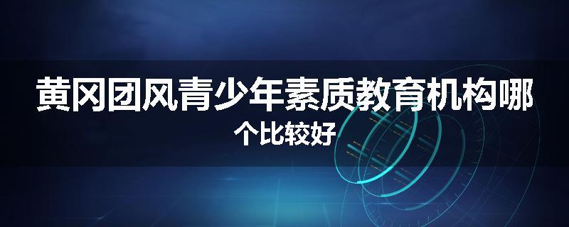 黄冈团风青少年素质教育机构哪个比较好