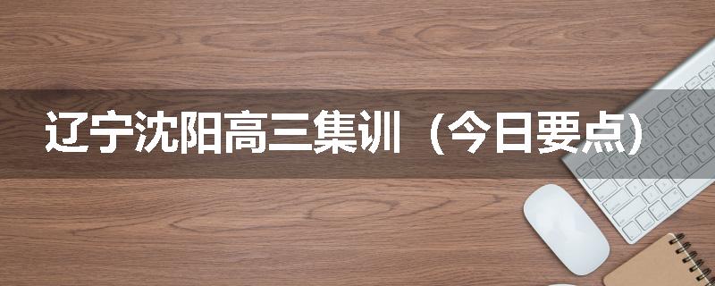 辽宁沈阳高三集训（今日要点）