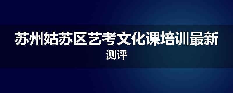 苏州姑苏区艺考文化课培训最新测评