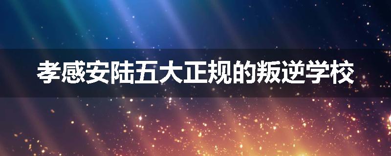 孝感安陆五大正规的叛逆学校