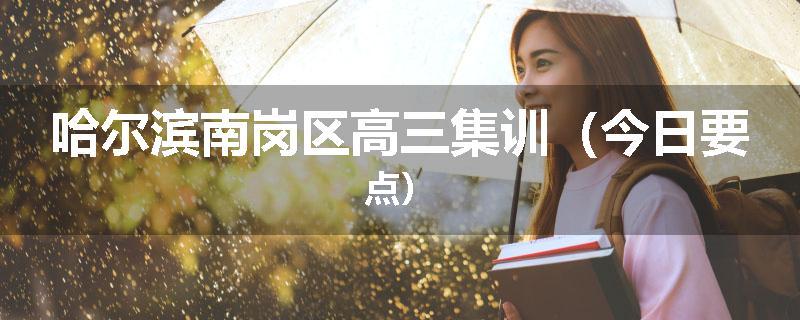哈尔滨南岗区高三集训（今日要点）
