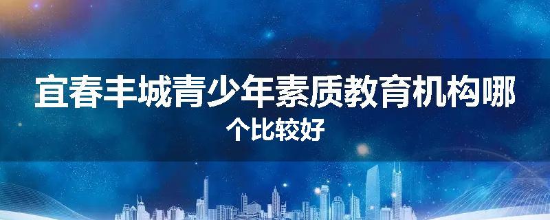 宜春丰城青少年素质教育机构哪个比较好