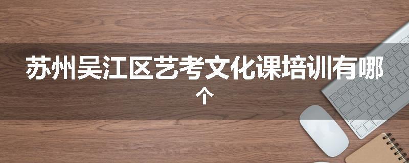 苏州吴江区艺考文化课培训有哪个