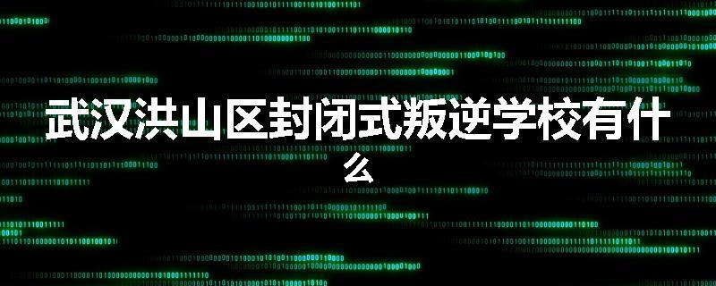 武汉洪山区封闭式叛逆学校有什么