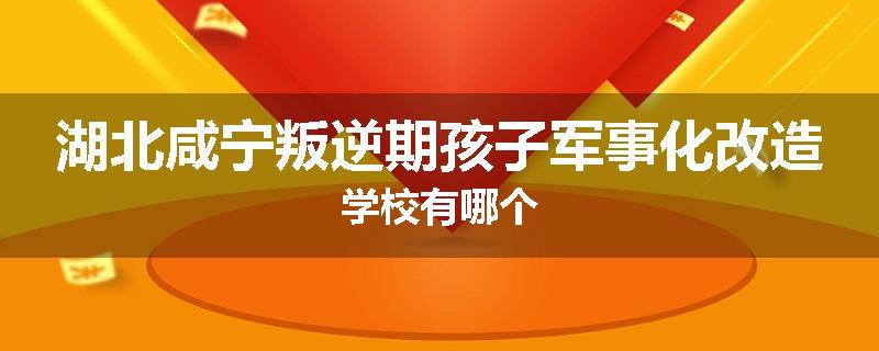 湖北咸宁叛逆期孩子军事化改造学校有哪个