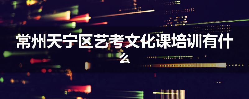 常州天宁区艺考文化课培训有什么