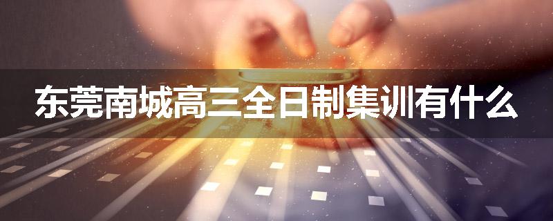东莞南城高三全日制集训有什么