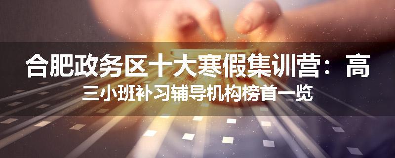 合肥政务区十大寒假集训营：高三小班补习辅导机构榜首一览