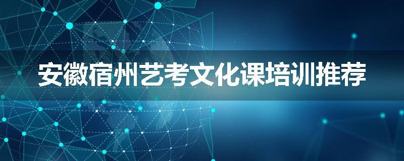 安徽宿州艺考文化课培训推荐