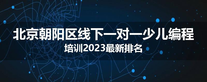 北京朝阳区线下一对一少儿编程培训2023最新排名