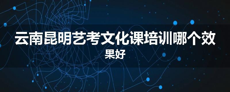 云南昆明艺考文化课培训哪个效果好
