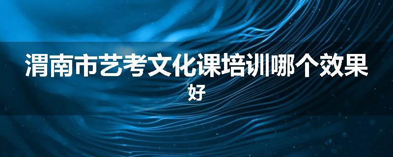 渭南市艺考文化课培训哪个效果好