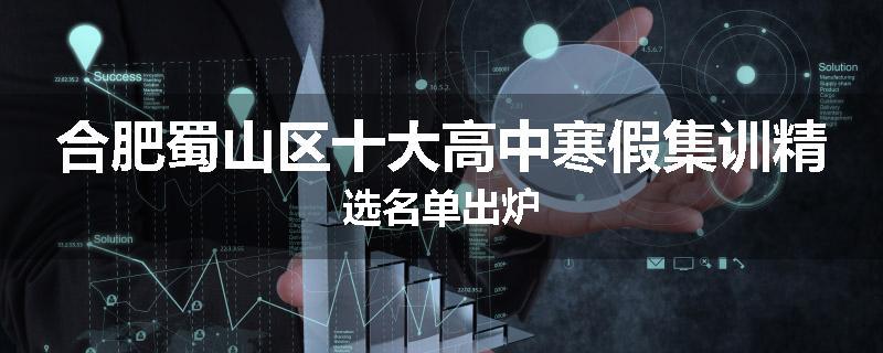 合肥蜀山区十大高中寒假集训精选名单出炉