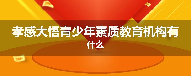 孝感大悟青少年素质教育机构有什么