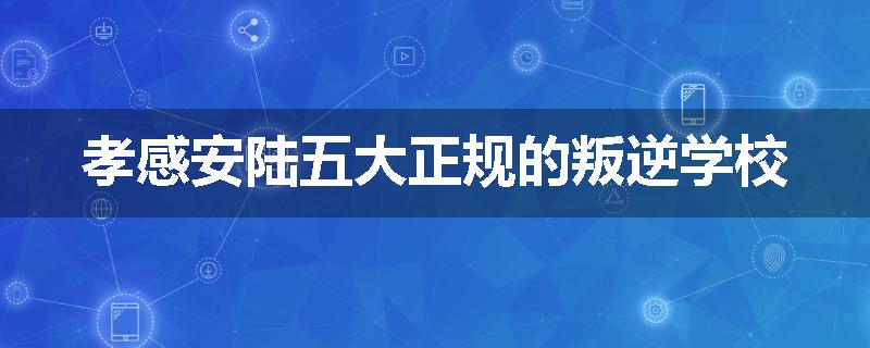 孝感安陆五大正规的叛逆学校