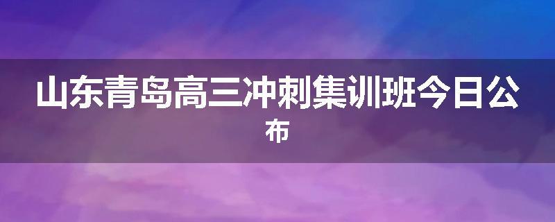 山东青岛高三冲刺集训班今日公布