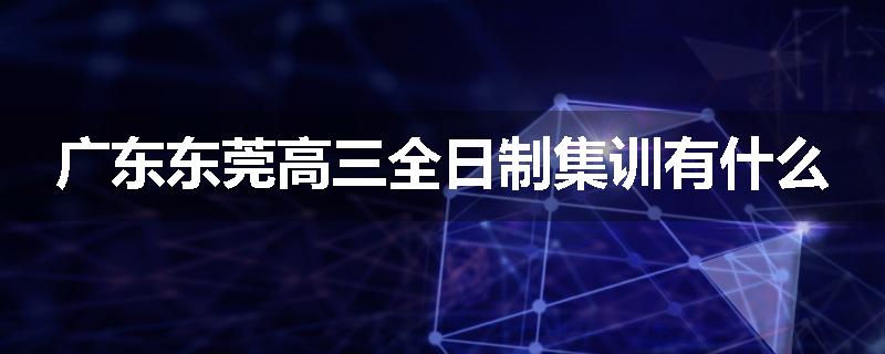 广东东莞高三全日制集训有什么