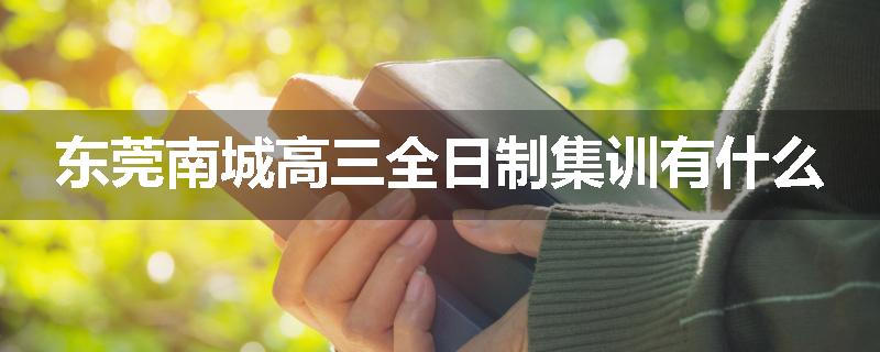 东莞南城高三全日制集训有什么