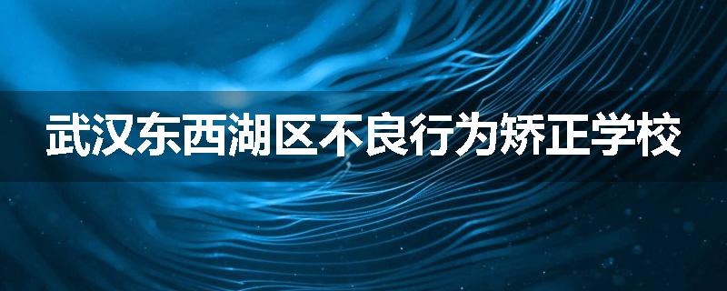 武汉东西湖区不良行为矫正学校