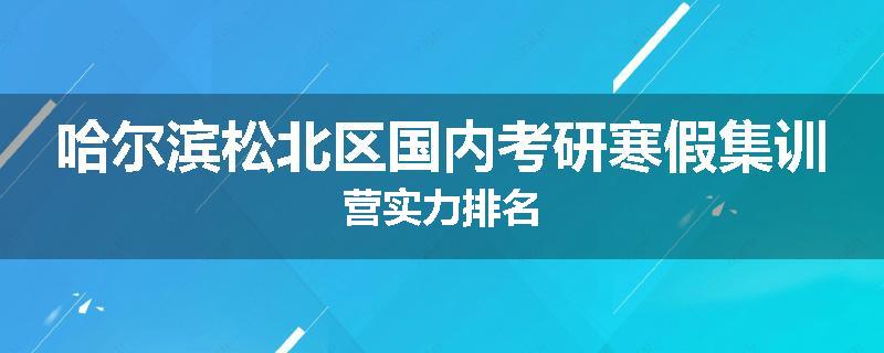 哈尔滨松北区国内考研寒假集训营实力排名