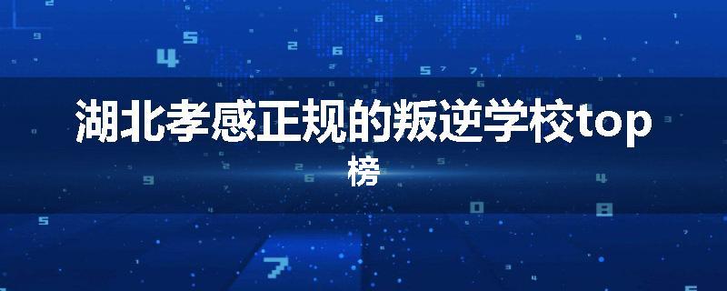 湖北孝感正规的叛逆学校top榜