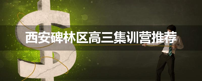 西安碑林区高三集训营推荐