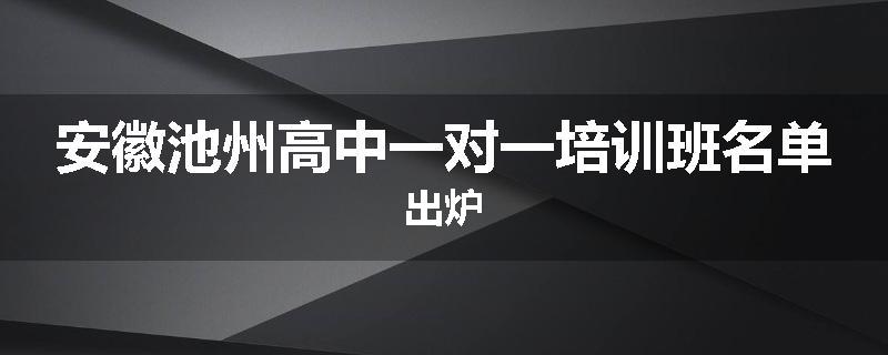 安徽池州高中一对一培训班名单出炉