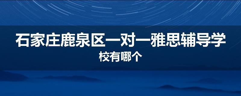 石家庄鹿泉区一对一雅思辅导学校有哪个