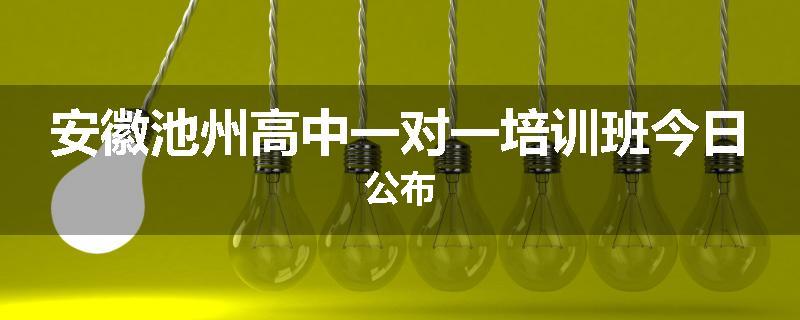 安徽池州高中一对一培训班今日公布