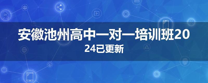 安徽池州高中一对一培训班2024已更新