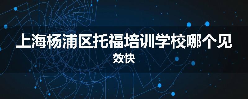 上海杨浦区托福培训学校哪个见效快