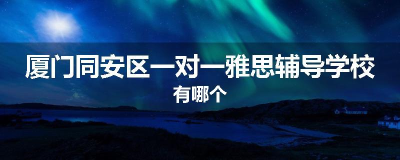 厦门同安区一对一雅思辅导学校有哪个