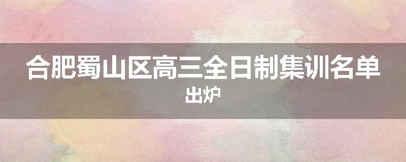 合肥蜀山区高三全日制集训名单出炉