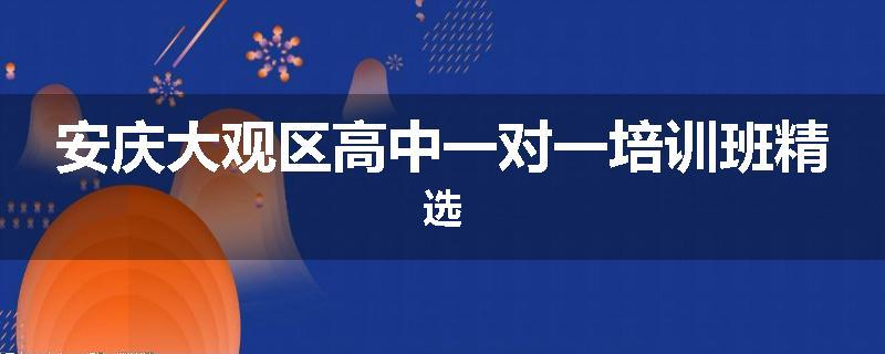 安庆大观区高中一对一培训班精选