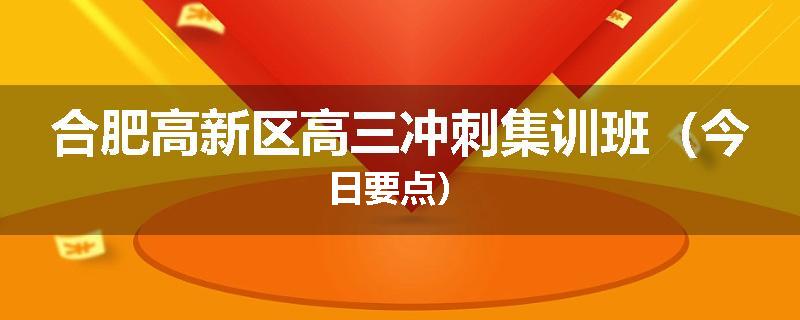 合肥高新区高三冲刺集训班（今日要点）