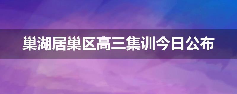 巢湖居巢区高三集训今日公布