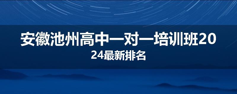 安徽池州高中一对一培训班2024最新排名
