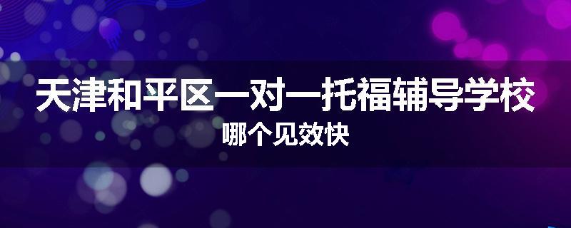 天津和平区一对一托福辅导学校哪个见效快