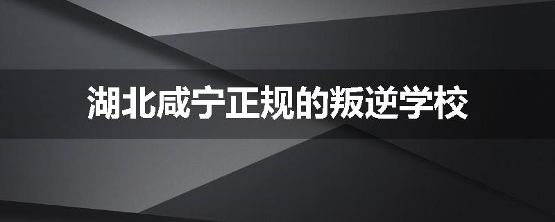 湖北咸宁正规的叛逆学校