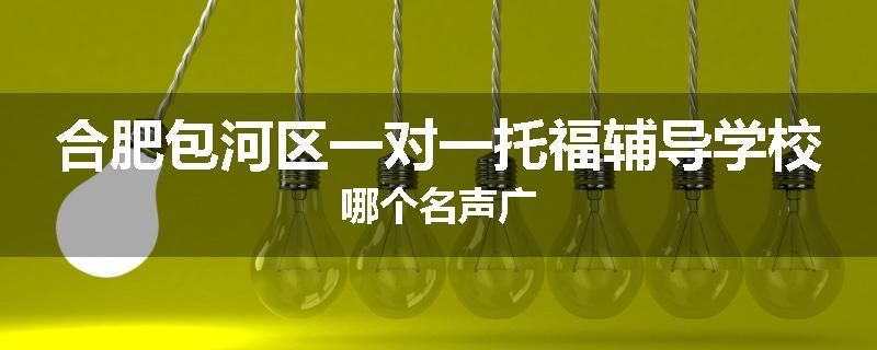 合肥包河区一对一托福辅导学校哪个名声广