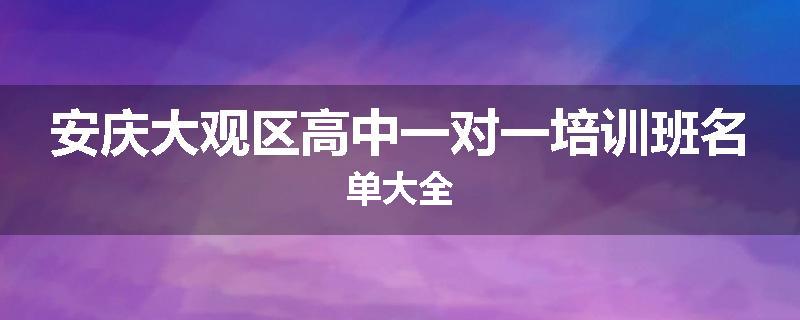 安庆大观区高中一对一培训班名单大全