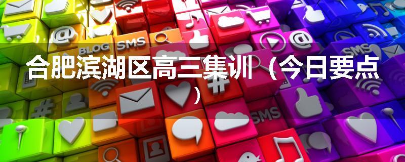 合肥滨湖区高三集训（今日要点）