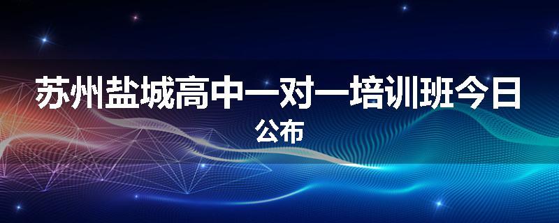 苏州盐城高中一对一培训班今日公布